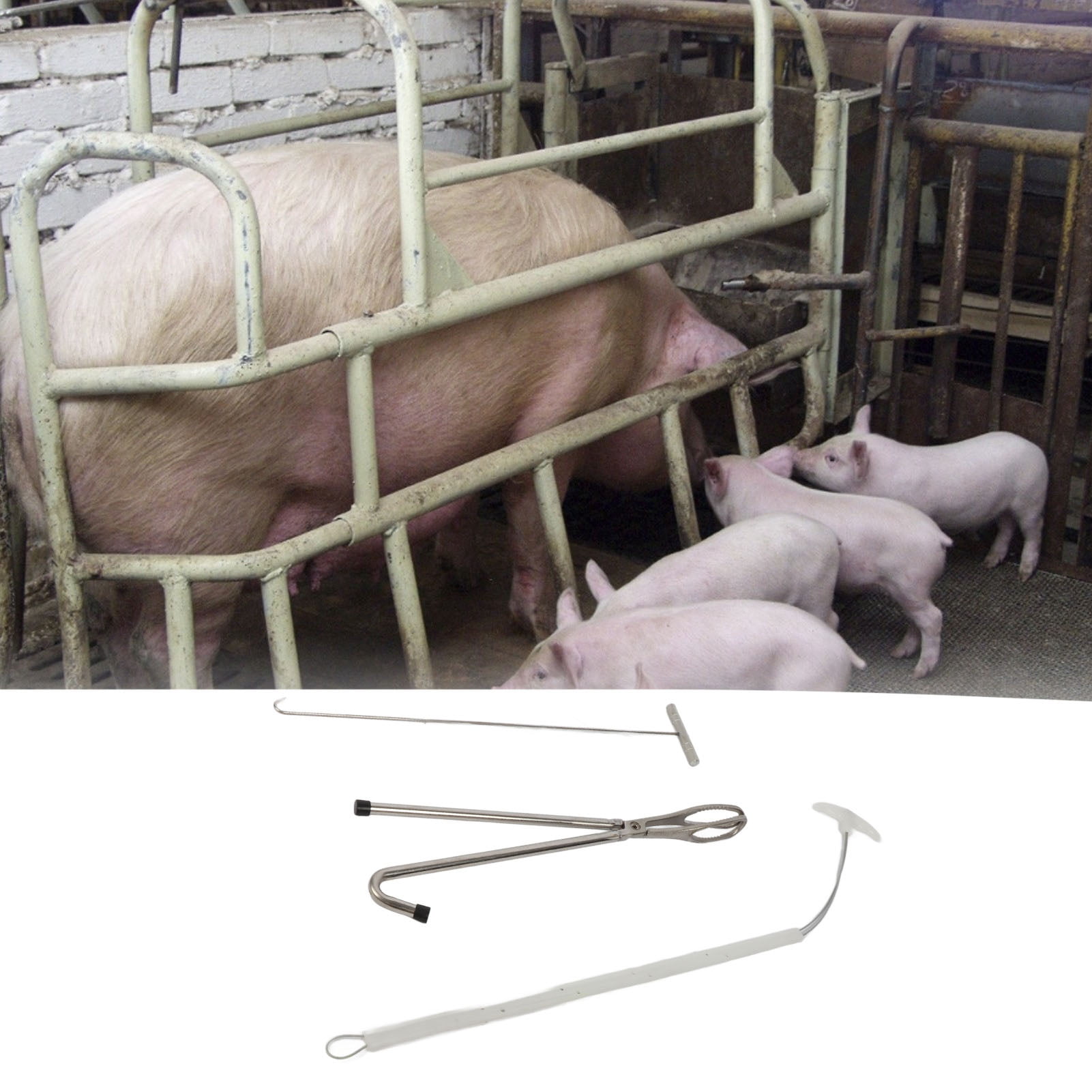 Swine Midwifery Set Tools Stainless Steel Livestock Swine Midwifery Rope Pliers Hook