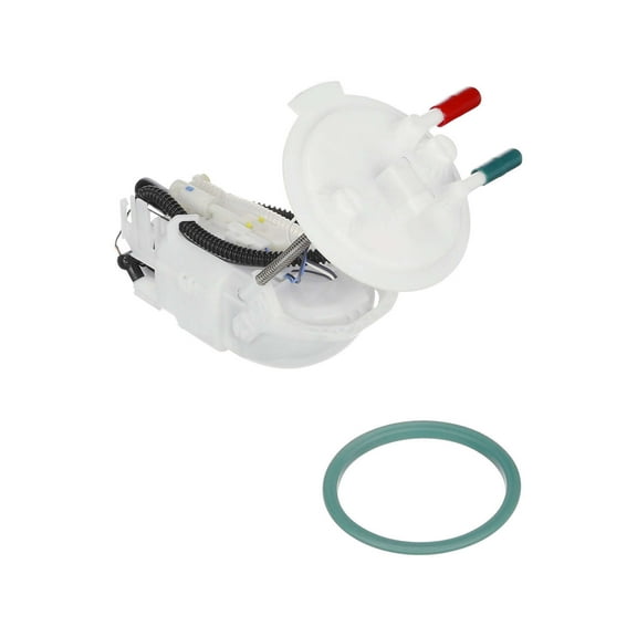 Delphi Lifetime Warranty Fuel Pump Assembly