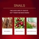 thumbnail image 3 of Eye Wrinkle Essence Eye Essence Convenient 20G Anti-Wrinkle for Dilute Dark Circles Eye Fine Lines Eliminate Eye Bags Eye ANGGREK Otros, 3 of 8
