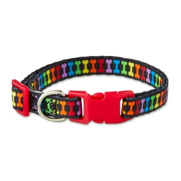 Vibrant Life Bone Print Fashion Dog Collar, Multicolored, Small