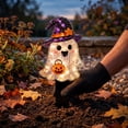 thumbnail image 6 of Lighted Halloween Ghost Stake With Pumpkin Outdoor Halloween Decoration 2D Spooky Ghost Halloween Lighted-Up Party Courtyard Porch Garden Lawn Display Decor, Yards, Lawns, Front Doors,1pcs, A, 6 of 8
