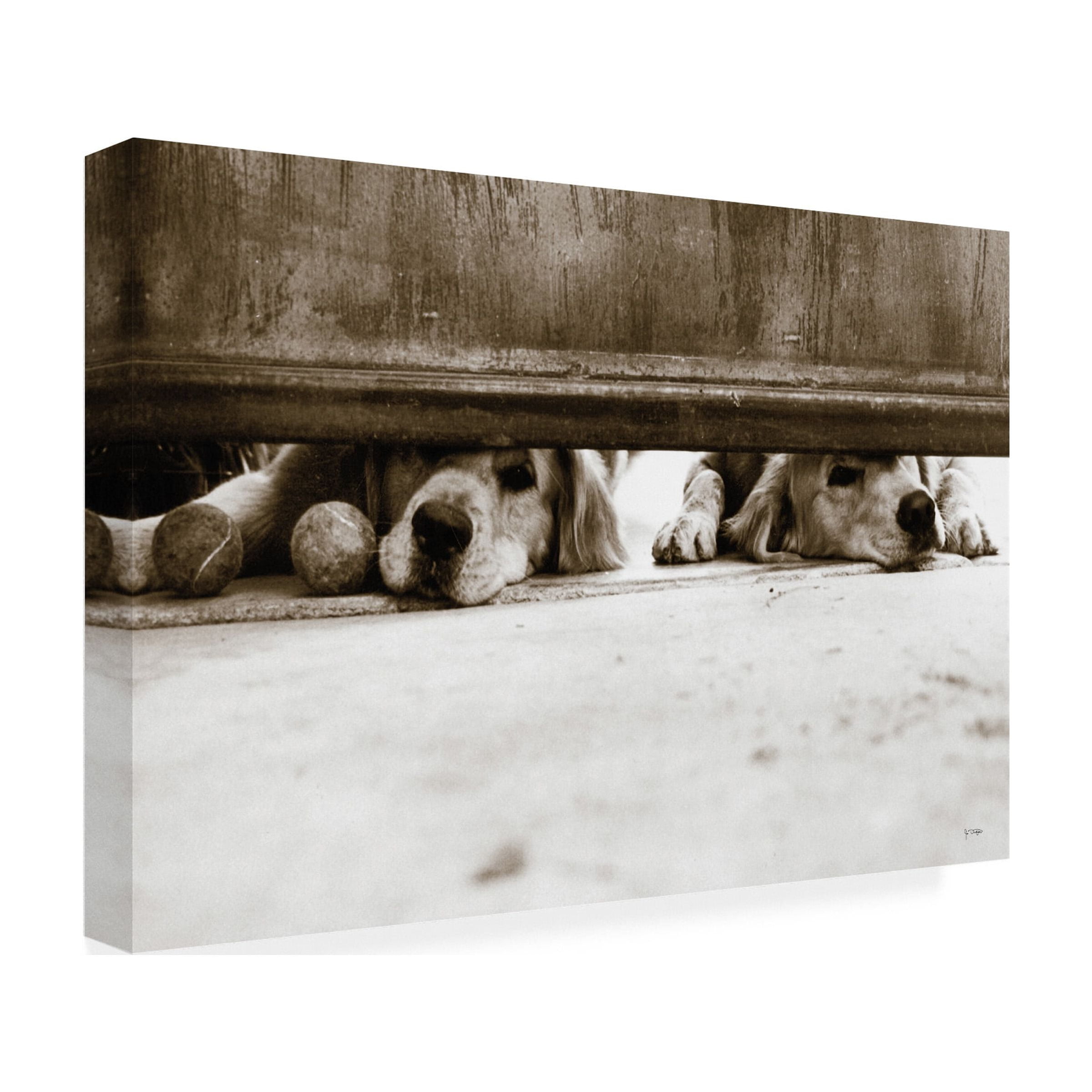 Jim Dratfield 'We See You v2' Canvas Art