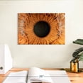 thumbnail image 3 of Elephant Stock Magnified Human Eye Wall Art - Horizontal Canvas Wall Art - Living Room Wall Decor - Profession Canvas - Brown And Black Decor - 12" x 8", 3 of 8