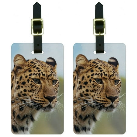 Megaphone Bag Tag - Leopard Portrait Big Hunting Cat Luggage Tags Suitcase Carry-On ID, Set of 2