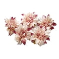 thumbnail image 2 of D-GROEE 20Pcs/Set Fake Flower Heads for Crafts DIY Artificial Silk Chrysanthemum Heads Decorative Fake Flowers Home Birthday Decoration Vases Decor Supplies, 2 of 7