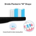thumbnail image 4 of Replacement Heads for TEETHEORY Electric Toothbrush, 4 of 4