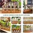 thumbnail image 4 of Plant Propagation Station, Plant Terrarium with Wooden Stand, Plant Pots for Hydroponics, Small Birthday Gardening Gifts for Women Mom Plant Lovers Unique - 5 Glass Test Tubes Vases, 4 of 5