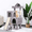 Ashy, variant on BORGEBY 36" Cat Tree Tower Cat House with Condo and Scratching Post Tower for Cats and Kittens，Ashy