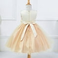 thumbnail image 3 of Uccdo Kids Girls Formal Dresses Flower Girl Sequin Tulle Party Prom Ball Gown Dress 1-10T, 3 of 5