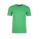 thumbnail image 1 of Next Level - Camiseta de cuello redondo tacto ante para adultos unisex (Envy), 1 of 2