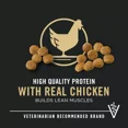 thumbnail image 3 of Purina Pro Plan Development Puppy Dry Dog Food - Chicken & Rice, 3 of 6