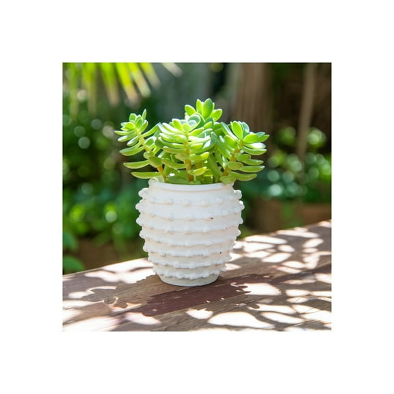 Home Decor Flower Pot for Plants - Decorative Ceramic Planters with Bubble Texture for Indoor and Outdoor Plants - Unique Round Plant Pots Perfect for Room, Garden, or Patio Decor - 9" White