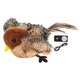 thumbnail image 2 of Greeniant Juguete interactivo de felpa para gatos que imita los sonidos y movimientos naturales de los pájaros, juguete interactivo de peluche Juguetes para gatos, 2 of 6