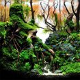 thumbnail image 3 of Flmtop Aquarium Non-toxic Natural Tree Trunk Driftwood Fish Tank Landscap Ornament Random Color & Style, 3 of 9
