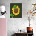 thumbnail image 3 of Sikiie Sunflower3 Print Canvas Decorative Hanging Painting, Anti-shrinkage Hanging Frame, Suitable for Home, Office Wall Decorations, 3 of 6