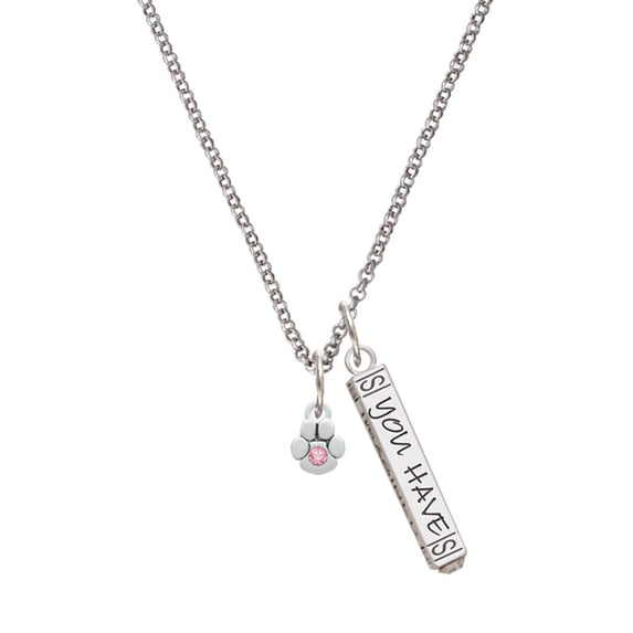Delight Jewelry Silvertone Mini Paw with Pink Crystal Silvertone Live the Life You Have Imagined Bar Charm Necklace, 23"