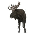 thumbnail image 5 of Hi-Line Gift 24” Standing Moose Garden Statue, Driftwood Composition, Intricate Detail, 5 of 7