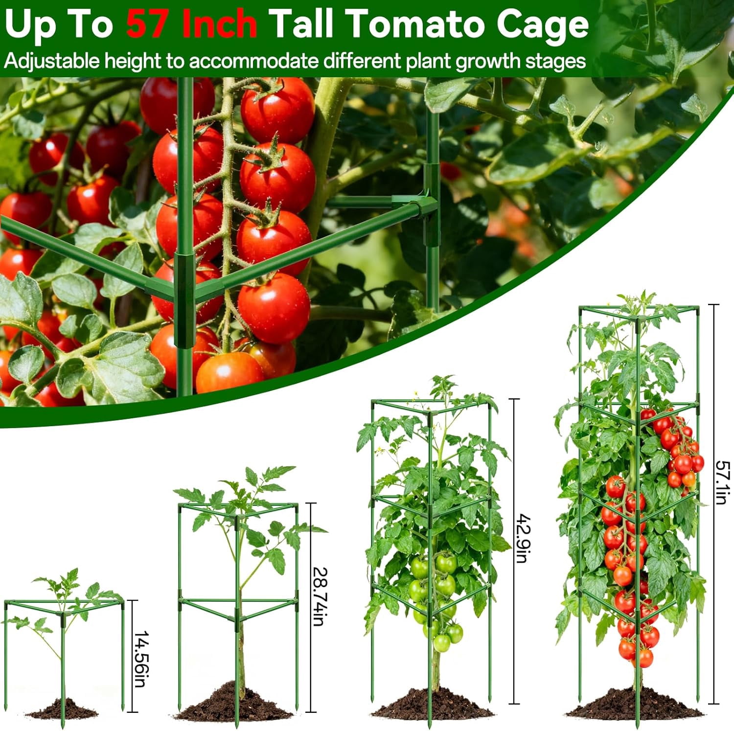57 Inch Tall Tomato Cages, 2 Pack Heavy Duty Metal Plant Supports Stakes for Garden, Adjustable Foldable Steel Trellis for Climbing Plants Cucumbers Peppers Cherry Flowers Vegetables Fruits