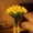 Yellow-5 flowers, variant on Radiant Romantic Tulip Light, Artificial Tulip Night Light Flower Lamp for Bedroom and Table Decor, Flowers only; vase is not included.