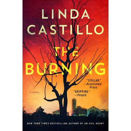 The Burning: A Novel (Hardcover)