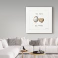thumbnail image 3 of Trademark Fine Art 'Pebbles and Sandpipers V' Canvas Art by Lisa Audit, 3 of 3