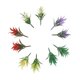 thumbnail image 2 of 100 Unids Plantas Florecientes Paisaje Paisaje, 2 of 9