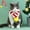 White WH, variant on Latrodar Knitted Striped Pet Christmas Scarf Cats Affordable&High-Quality hickened Warm Collar Green Home Stuff