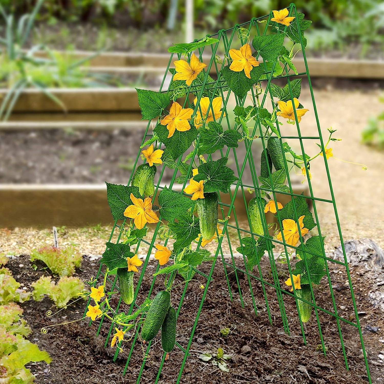 Cucumber Trellis, 2 Pack Foldable A Frame Trellis for Raised Bed Climbing Plants, Vegetables, Includes Plant Support Clips, Twist Ties, Plastic Ties- Made from PVC-Coated Steel
