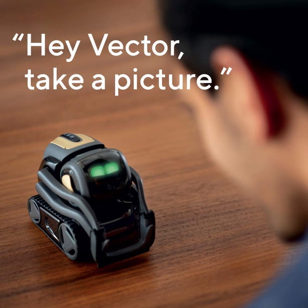 Vector Robot by Anki, A Home Robot Who Hangs Out & Helps Out, With