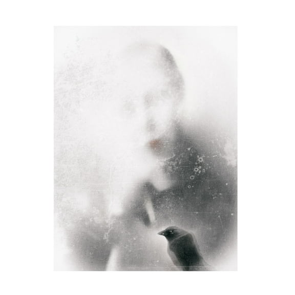 Canvas Wall Art - Gilbert Claes 'The Angry Bird ' Wall Art for Living Room, Bedroom, or Office D?cor by Trademark Fine Art - 14 x 19 Inches