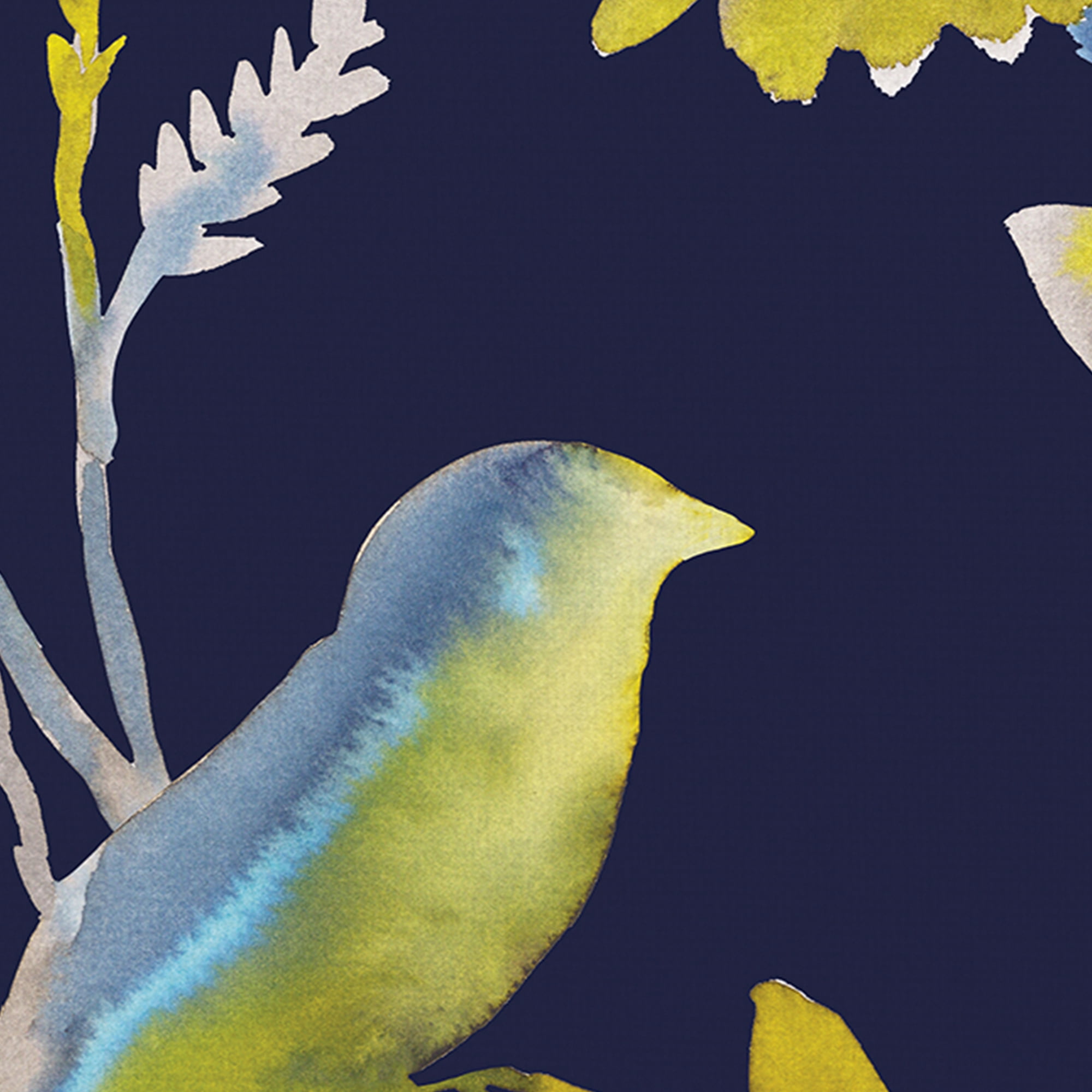 Meadow Chorus, Meadow Symphony by Sandra Jacobs Birds and Feathers Canvas Art Set of II