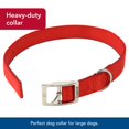 thumbnail image 4 of Collar para perro Coastal de doble capa de nailon rojo 2,5 x 56 cm, 4 of 7
