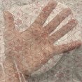 thumbnail image 3 of Antique Tulle Curtains with Rod Pocket, Curved Tree Branch with Flowers Leaves Flourish Tile Pattern, Sheer Drape for Wedding Party 2 Panels, 7 Sizes, Dark Coral Beige, by Ambesonne, 3 of 3
