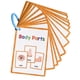 thumbnail image 2 of Tarjetas didácticas de partes del cuerpo, tarjetas didácticas de bolsillo, de aprendizaje, juguetes educativos para guarderías, y niños, 2 of 9