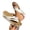 White, variant on HomeGardon Summer Orthopedic Sandals for Women Dressy Wide Width Flip Flops Plantar Fasciitis Feet Sandal with Arch Support Comfortable Open Toe Wedge Orthopedic Thong