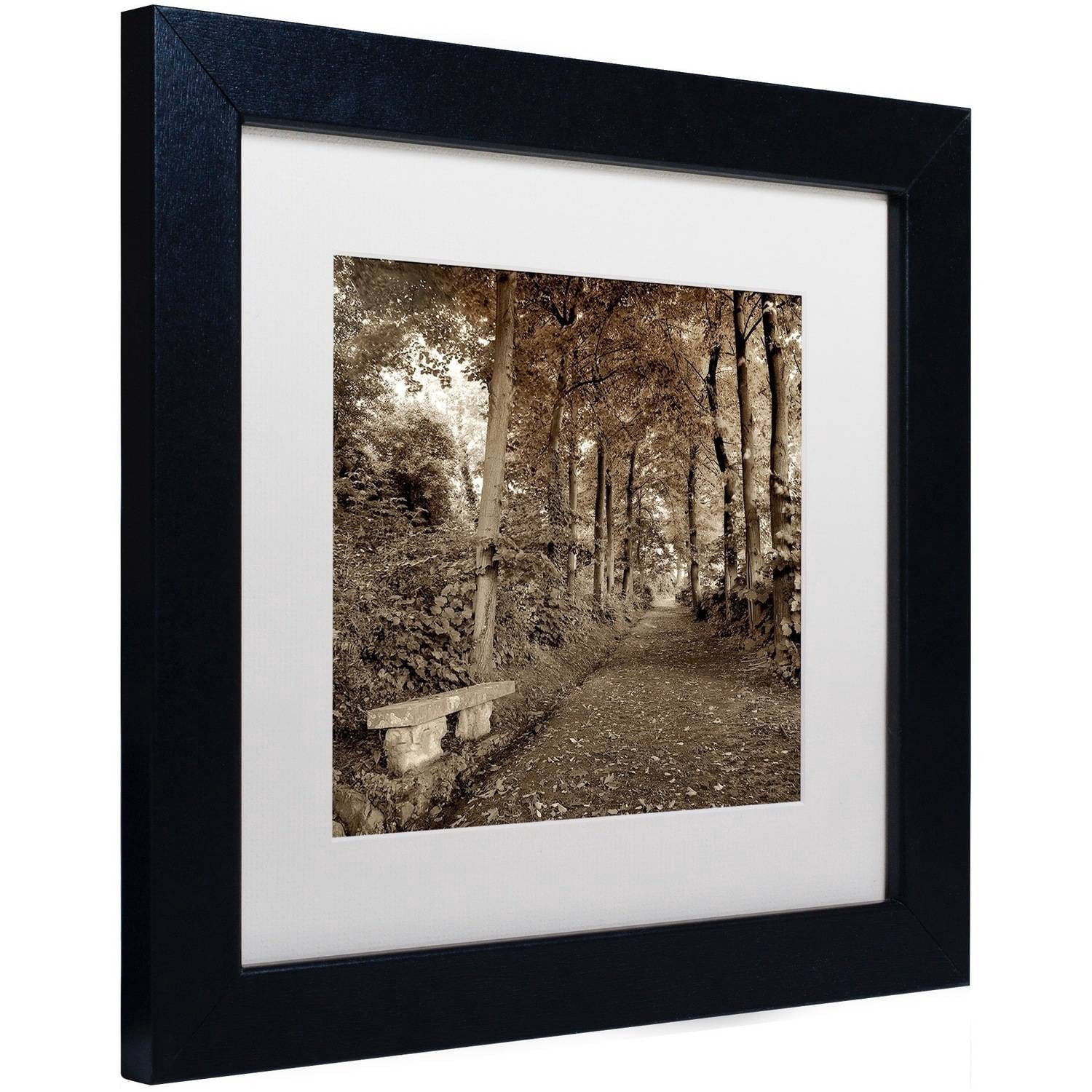 Trademark Fine Art "Fiesole Giardini II" Canvas Art by Alan Blaustein, White Matte, Black Frame