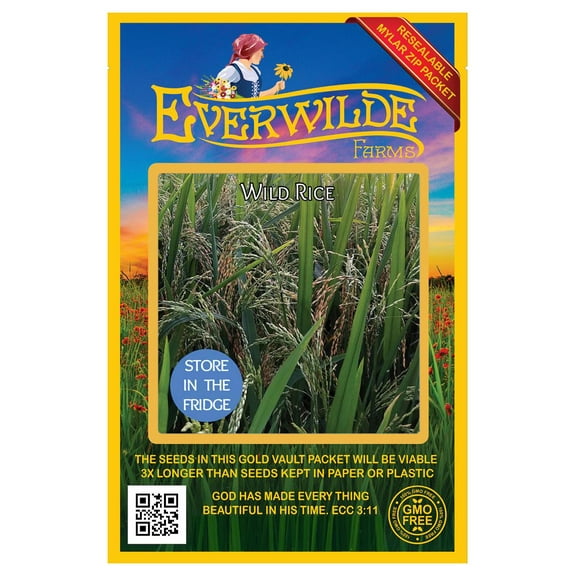 Everwilde Farms - 50 Wild Rice Native Grass Seeds - Gold Vault Jumbo Bulk Seed Packet
