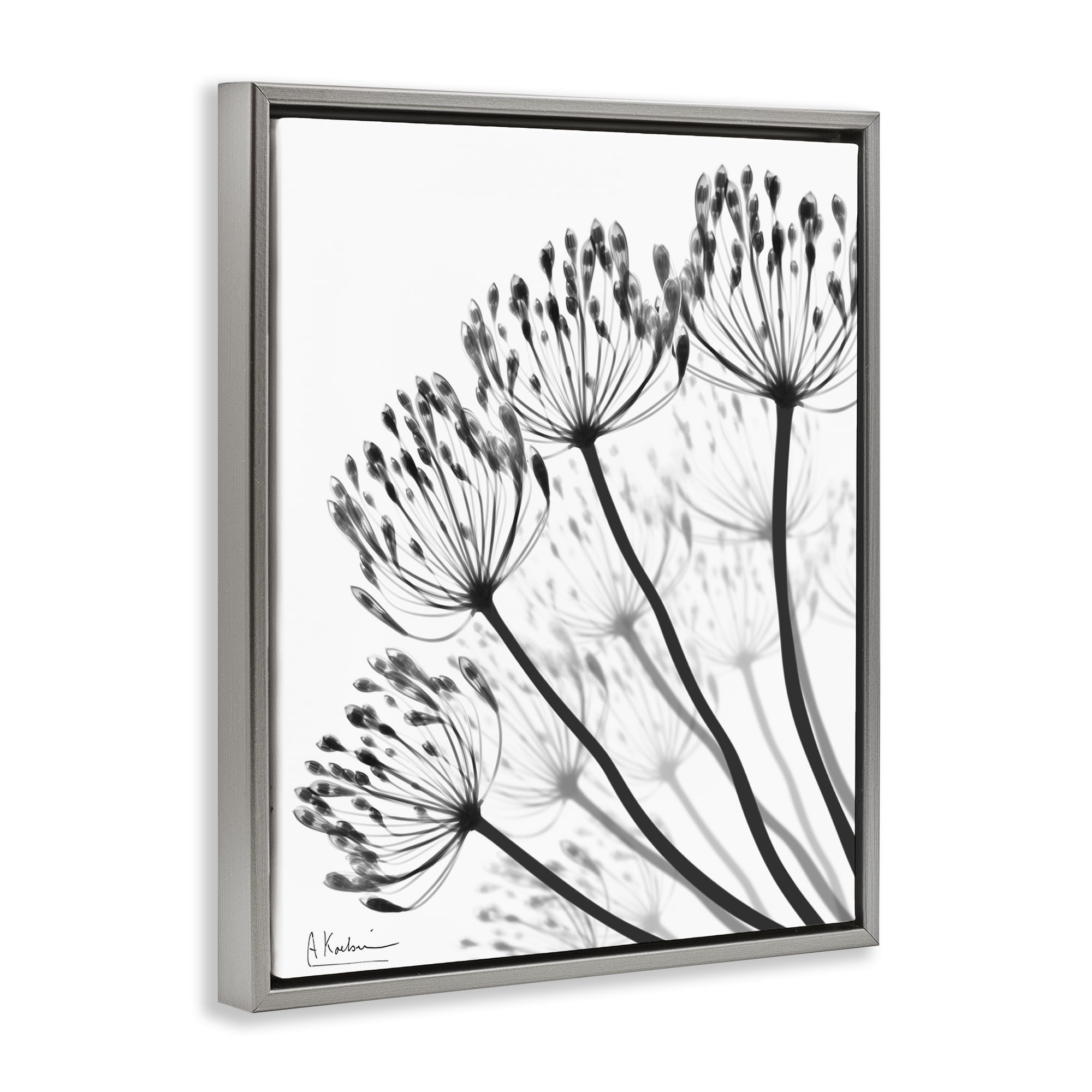 Stupell Industries Floral Fan Dandelions Gray Framed Floater Canvas Wall Art, design by Albert Koetsier