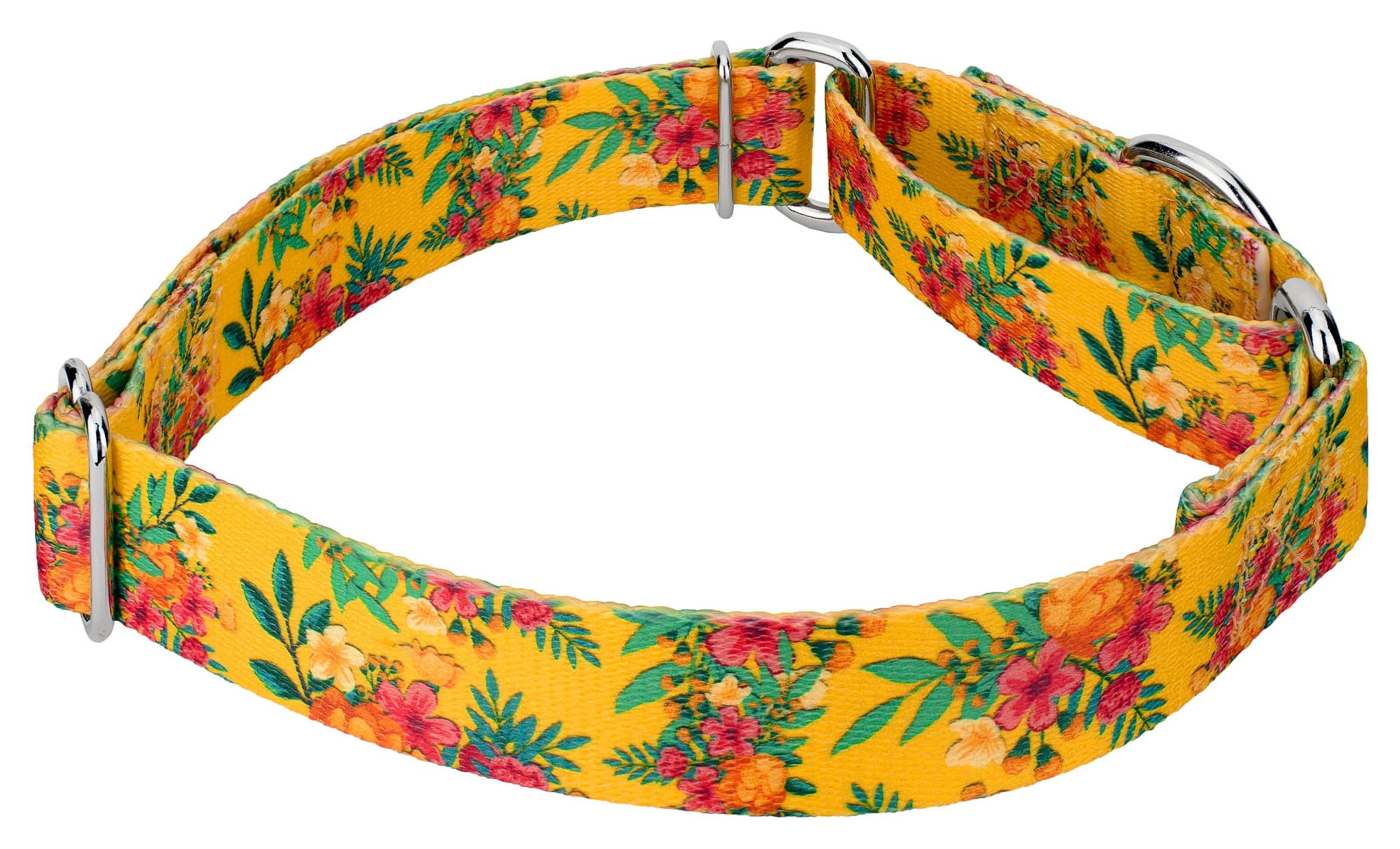 Country Brook Petz® Tropical Floral Martingale Dog Collar and Leash, Large