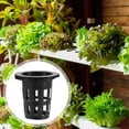 thumbnail image 2 of Hydroponic Cups 50 Pcs Soilless Cultivation Plant Basket Root Fixer Flower Pots Growing Net, 2 of 6