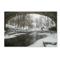 Trademark Fine Art 'Cold Flow' Canvas Art by Kurt Shaffer
