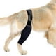 thumbnail image 1 of Dog Recovery Sleeve Front Rear Leg Support Brace For Injury Sprain Relieve Pain, 1 of 5