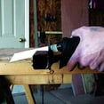 thumbnail image 3 of Century Drill & Tool 7600 6TS x 6 in. Bi-Metal Reciprocating Blades, 3 of 4