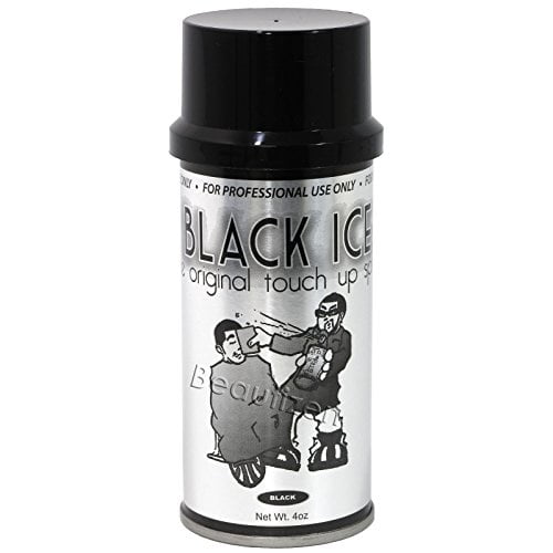 Black Ice the Original Touch Up Spray, 4 oz 