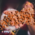 thumbnail image 3 of PMU 300 Ft Orange Star Garland – Shiny Tinsel Wire Garland for Christmas, Halloween, Wedding & Birthday Party Decor, Holiday Garlands Ornament for Festive Home Decoration (12pc-25Ft Each), 3 of 6