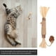 thumbnail image 5 of EeaseMX 2 palitos de hierba gatera natural para gatos, para limpiar los dientes y las muelas., 5 of 8