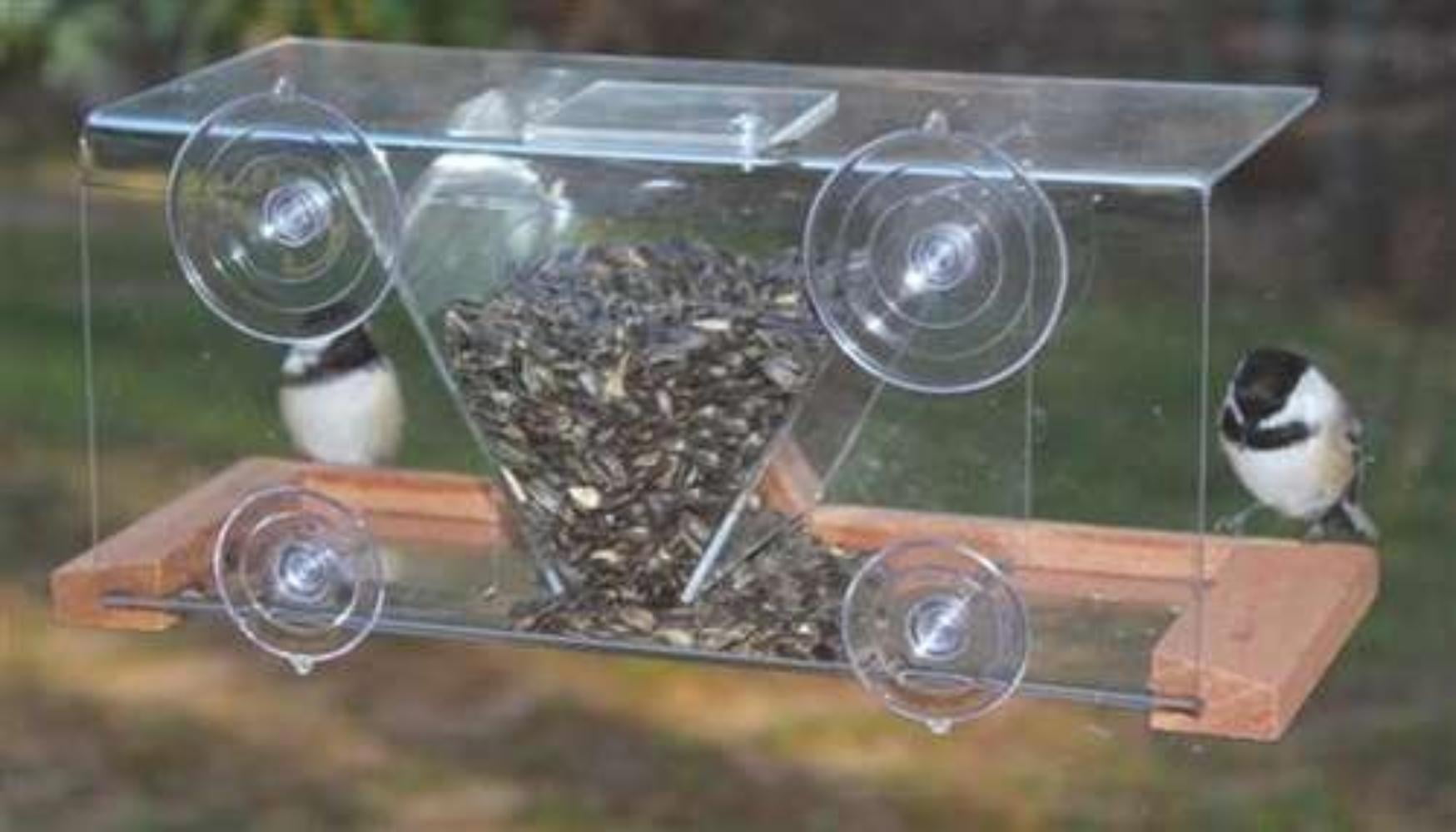 Clear Window Mounted Bird Feeder. 4 Cup Capacity V Shaped