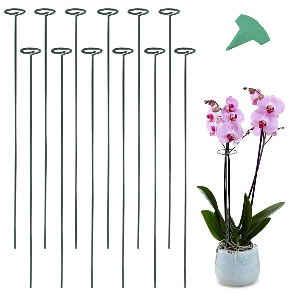 heavy duty 30" inch steel orchid stakes vinyl coated 12 gauge wire plant 3 