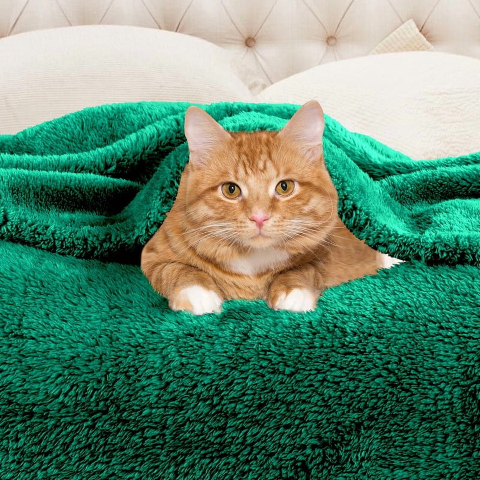 Superior Super Soft Plush Fleece Blanket 50" x 70", Bed & Couch Blankets, Throw XL, Evergreen