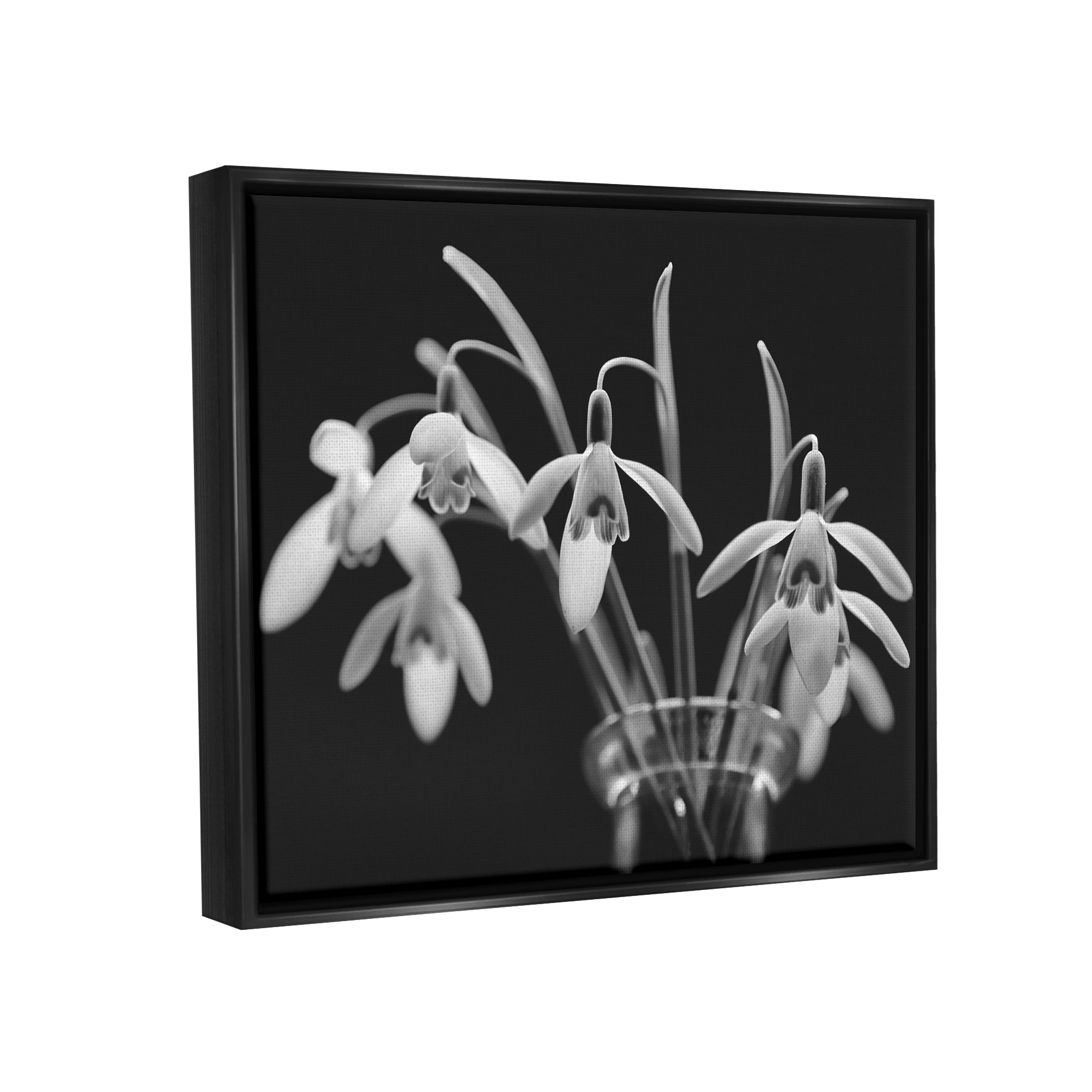 Stupell Industries Snow Drops Flower Photography Botanical & Floral Photography Black Floater Framed Art Print Wall Art